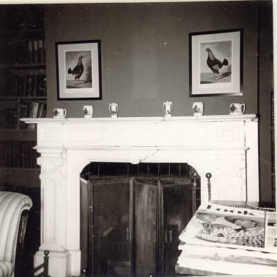 Fireplace in Quinlan home