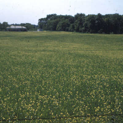 Westleigh and Green Bay