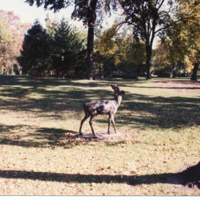 Triangle Park