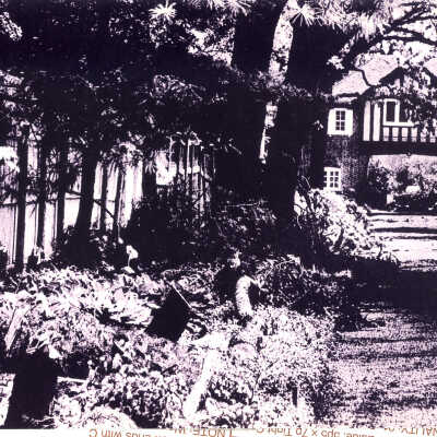 Mr. T's House