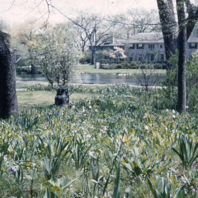 Gardens of Lake Forest