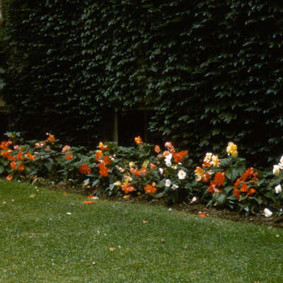 Gardens of Lake Forest