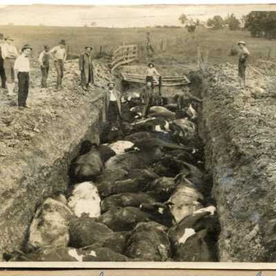 Lancaster Farm during World War I