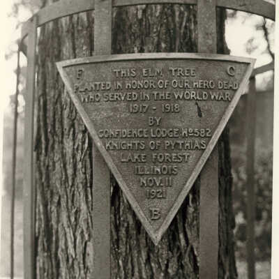 Plaque and barrier around elm tree