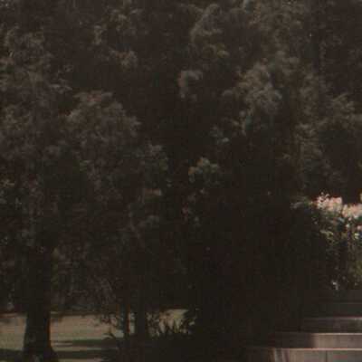 Havenwood