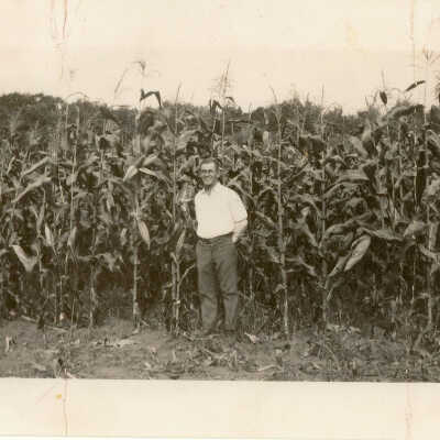 Elmwood Farm