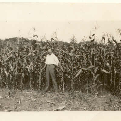 Elmwood Farm