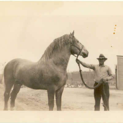 Elmwood Farm