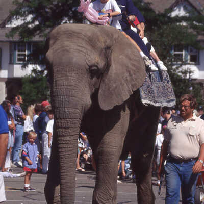 Lake Forest Day Parade