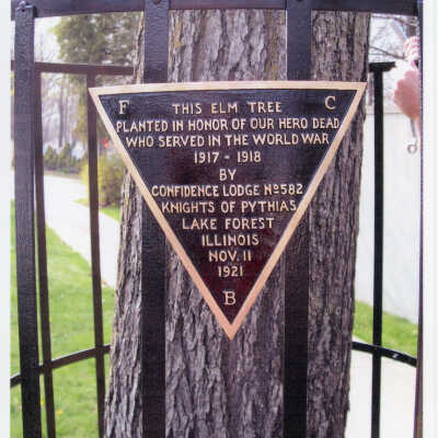 World War I Honor Elm Tree Plaque