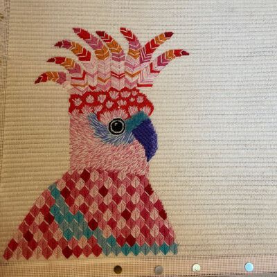 "Corona the Cockatoo"