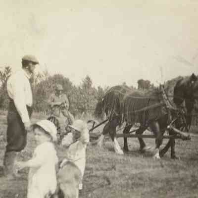 Lawrence and Robert Carton with estate workers in field, horses