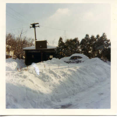139 Woodland