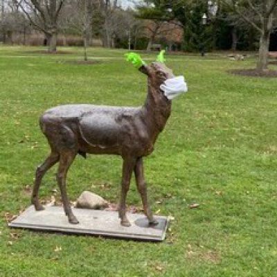 "Triangle Park deer"