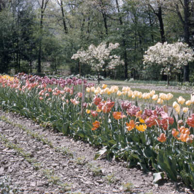 Gardens of Lake Forest