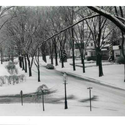 Woodland Road