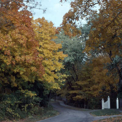 Rosemary Road