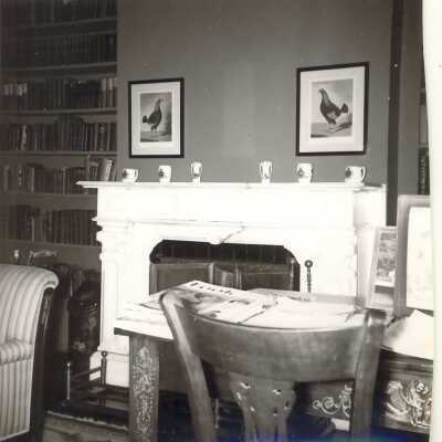 Quinlan home interior
