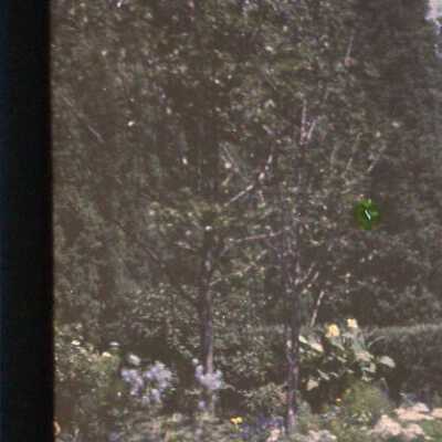 Havenwood