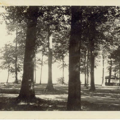 Lake Bluff
