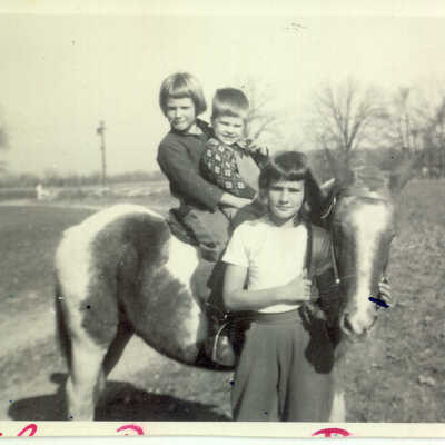Penny Palmer and siblings with colt