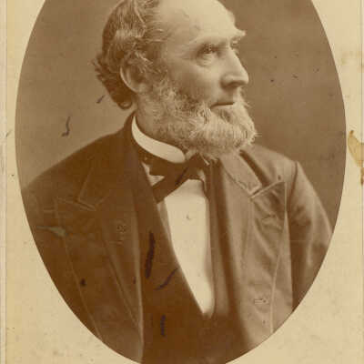 Portrait of a Gentleman