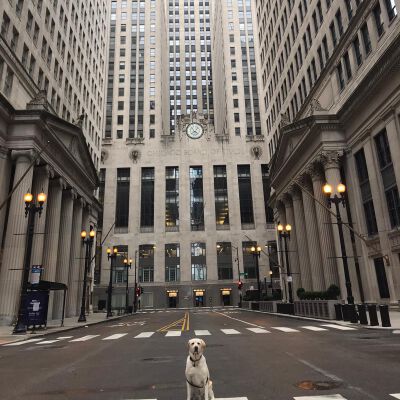 "Lou at the Board of Trade"