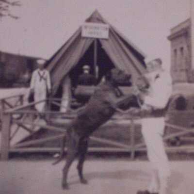 Sailor with dog