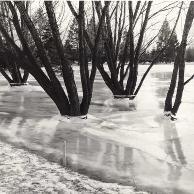 Lake Forest Hospital Records