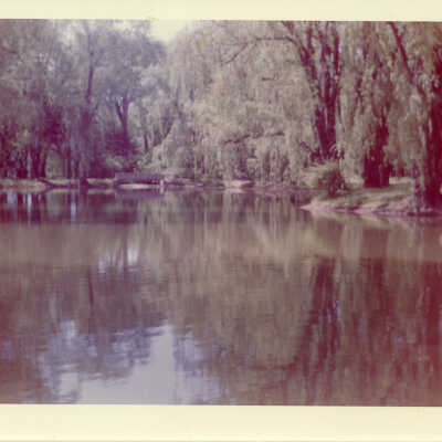 Fairlawn pond