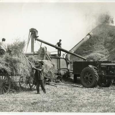Everett Stock Farm