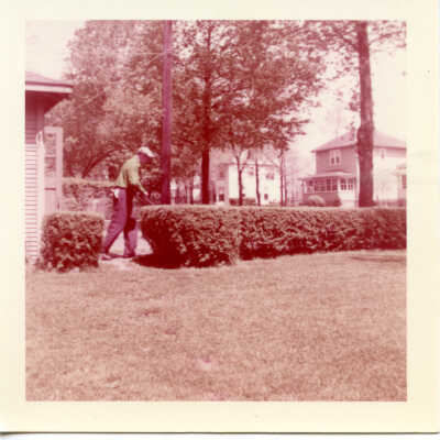 Man with lawnmower