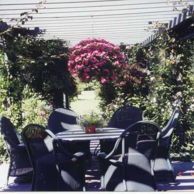 930 East Rosemary garden