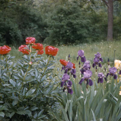 Gardens of Lake Forest