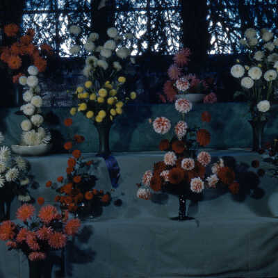 Flower Show of the Dahlia Society