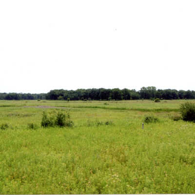 Middlefork Savannah and Elawa Farm