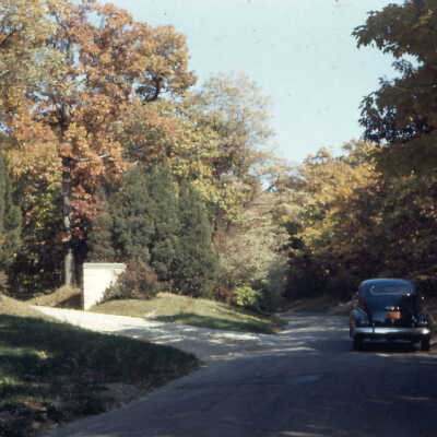 Ringwood Road