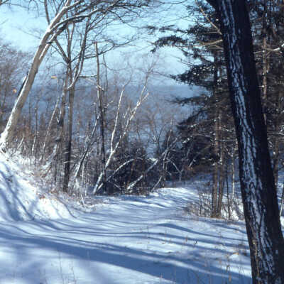 Woodland Road