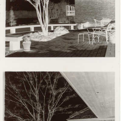 Orr Negatives