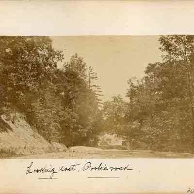Lake Forest scenes