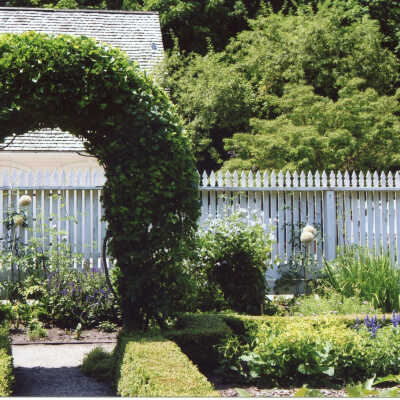 Crab Tree Farm cutting garden