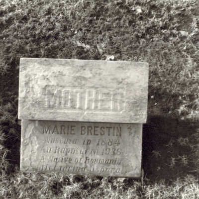 Lake Forest Cemetery
