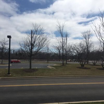 "Empty lots"