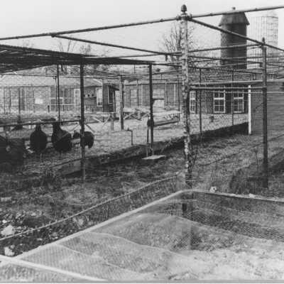 Copyright: Lake Forest-Lake Bluff Historical Society