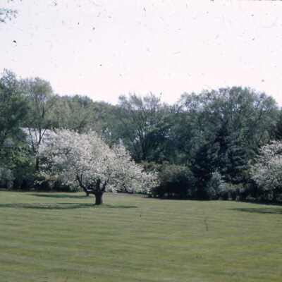 Gardens of Lake Forest