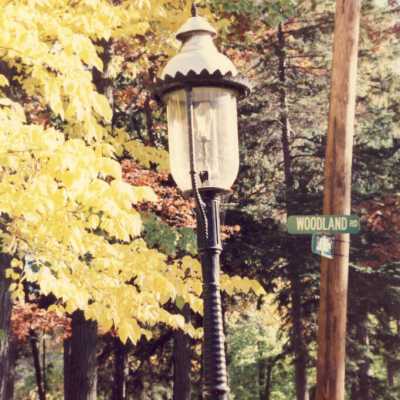 Street light at Woodland and Elm Tree