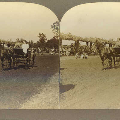 Lake Forest Horse Show