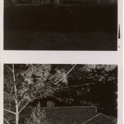 Orr Negatives