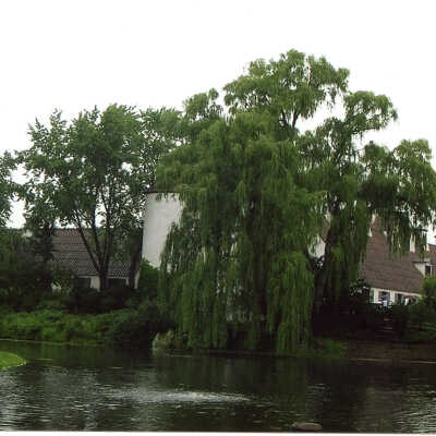 Crab Tree Farm