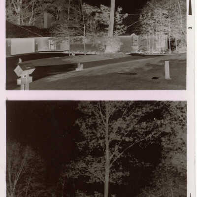 Orr Negatives